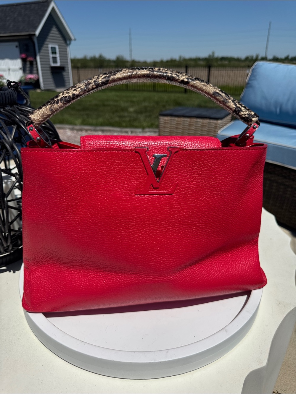 Louis Vuitton Red Capucine with Snakeskin-Style Top Handle